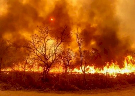 Justi&ccedil;a condena pecuarista &agrave; pris&atilde;o por inc&ecirc;ndio hist&oacute;rico no Pantanal