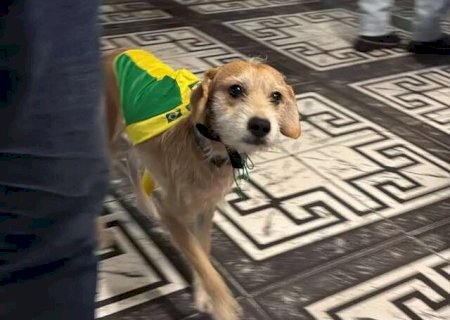 Boby tem roupa de sair, curte samba em bar e j&aacute; escapou de sequestro