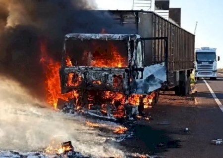 Bois s&atilde;o soltos na MS-395 ap&oacute;s carreta pegar fogo
