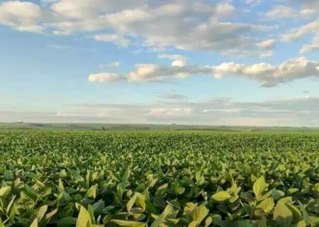 Produtores de MS ter&atilde;o acesso a R$ 13,4 bilh&otilde;es no Plano Safra