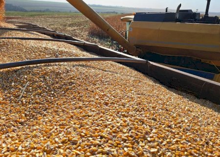 Veículo movido exclusivamente a etanol pode beneficiar cadeia produtiva do milho