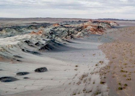 Fungos podem restaurar terras degradadas e combater crise climática