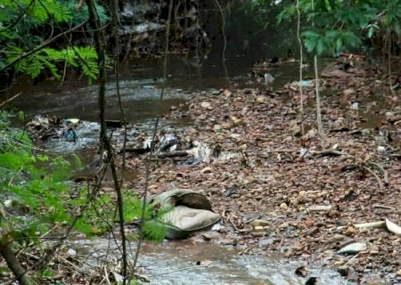 Ap&oacute;s den&uacute;ncia, Planurb vai avaliar mau cheiro e lixo no C&oacute;rrego Imbirussu