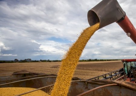 Saca de soja chega a R$ 130 e pre&ccedil;o sobe 3,6% em um ano
