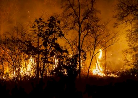Justi&ccedil;a condena Arauco a indenizar trabalhador exposto a inc&ecirc;ndios sem prote&ccedil;&atilde;o
