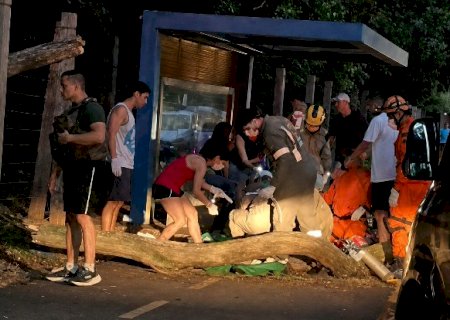 Jovem em patinete morre ao ser atingida por &aacute;rvore no Parque dos Poderes