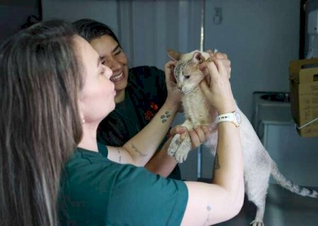 Consult&oacute;rio m&oacute;vel oferece atendimento veterin&aacute;rio gratuito em tr&ecirc;s bairros