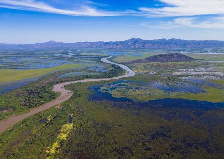 MPF aciona Justiça para cobrar comitê de proteção ao Pantanal