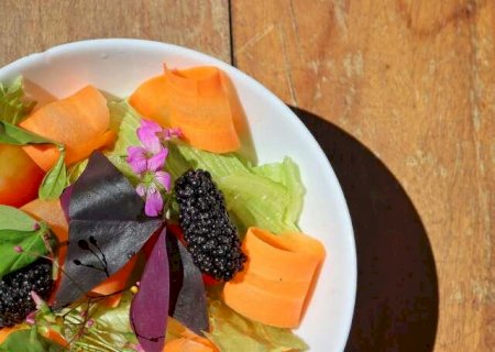 Chega de salada sem gra&ccedil;a, tem mato no quintal que salva o prato