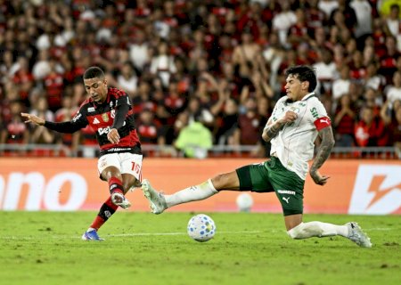 Briga acirrada: compare e simule jogos de Palmeiras e Flamengo na disputa pelo título brasileiro