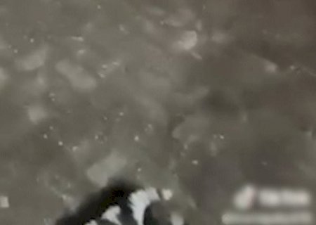 Mulher &eacute; presa ap&oacute;s ser flagrada agredindo filhote de cachorro a chutes