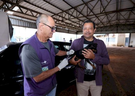 Vacinação antirrábica chega a cinco pontos de Dourados nesta sexta-feira