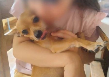 Pinscher some em segundos e fam&iacute;lia oferece recompensa por Princesa