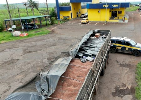 Mais de 6,3 toneladas de maconha e quatro fuzis que saíram de Ponta Porã são apreendidos na BR-163