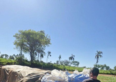 Cerca de 20 toneladas de insumos furtados de empresa de celulose são recuperados