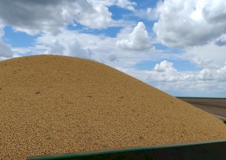 Produtor de soja pode receber menos com novas regras tributárias
