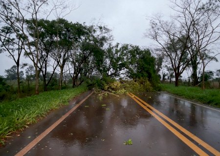 Prefeitura mobiliza equipes após ventos de 73,4 km/h em Caarapó