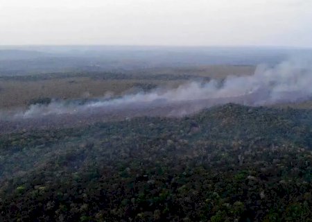 Governo intensifica reforços para combater incêndios no Pará