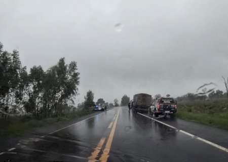 Polícia Militar Rural recupera 20 bovinos furtados e prende quatro suspeitos em Aquidauana